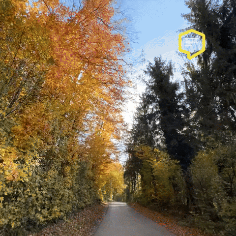 Colors Love GIF by Linz News