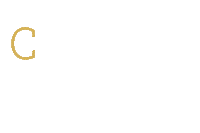 Crown Diamond Sticker by ORGANO™