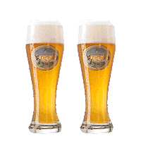 familienbrauerei_jacob prost jacob anstossen brauerei Sticker