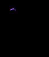 winnerflags win winner winners first place GIF