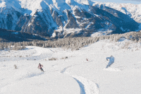 SkiBro skiing skibro GIF