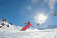 SkiBro skiing skibro GIF