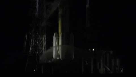 tulsimo giphygifmaker GIF