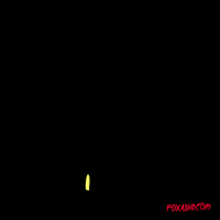 fourth of july summer GIF by Animation Domination High-Def