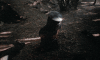 please GIF