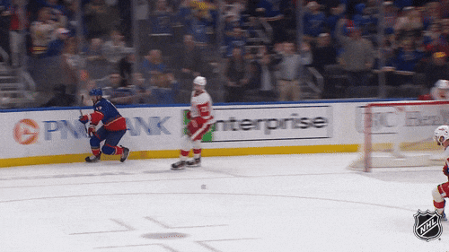 Happy National Hockey League GIF by NHL