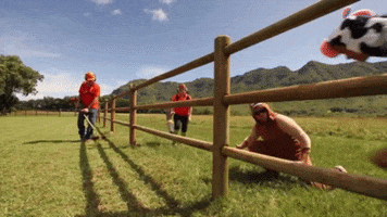 KipuRanchAdventures fun travel adventure ride GIF