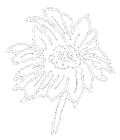花 Black And White Sticker