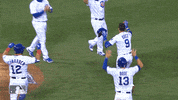 Regular Season Sport GIF by MLB