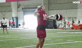 HogsPlus sports football college pool GIF