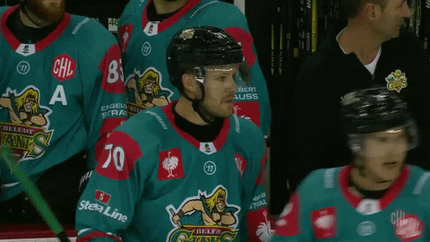 Belfast Giants GIF by Champions Hockey League