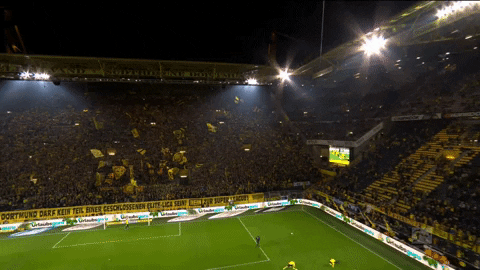 GIF by FOX Sports
