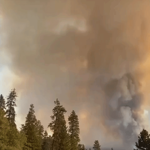Dixie Fire in California Continues to Grow