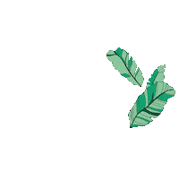 Instagif Sticker by Soul Bar