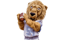 football lion Sticker by Columbia University Athletics