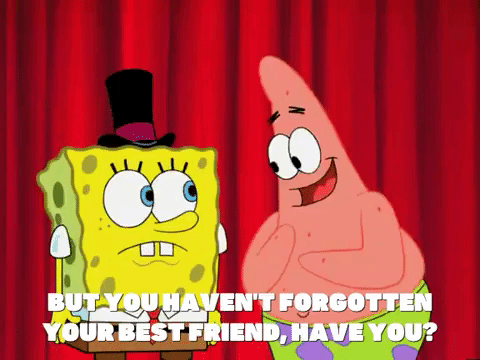 season 5 GIF by SpongeBob SquarePants