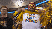 GIF by Minnesota Gophers