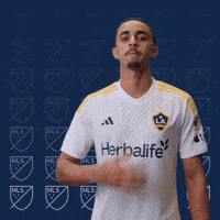La Galaxy Sport GIF by Major League Soccer