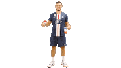 Champions League Fun Sticker by Paris Saint-Germain Handball
