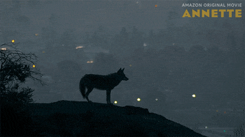 Cry Howling GIF by Amazon Prime Video