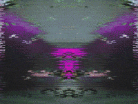 GIF by Leo Pyrata