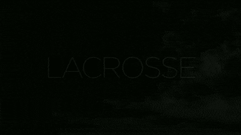 fabricgif giphyupload lacrosse lax yaz GIF