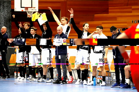 Team GIF by Bregenz Handball