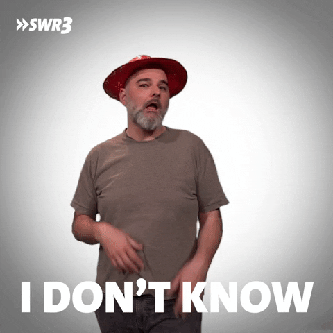 No Idea Idk GIF