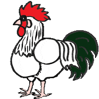 Rooster Hahn Sticker