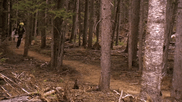 ctv amazing race tarc the amazing race canada #amazingracecanada GIF