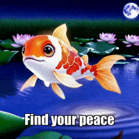 Wisdom Find Your Peace GIF by TheConfishius