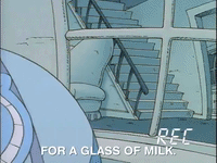 Rockos Modern Life Nicksplat GIF by NickRewind