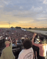 Levity GIF