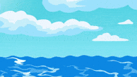 sol big brain surf