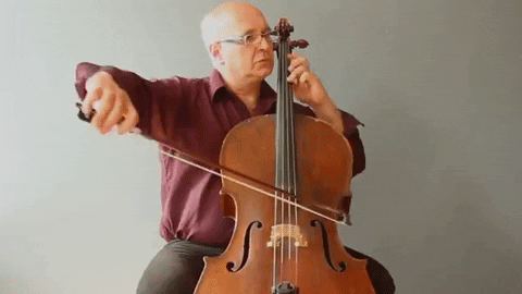 FIVLeon_MX giphygifmaker cellist violoncello fiv león mx GIF