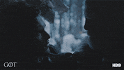 GIF by Game of Thrones