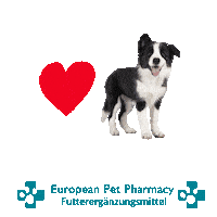 Border Co Sticker by Europeanpetpharmacy