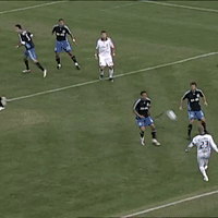 nycvla GIF by LA Galaxy