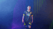 Meow Wolf Home Kit GIF by New Mexico United