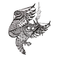 hosfmanrodriguez owl buho lorx hosfman Sticker