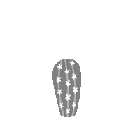 festival cactus Sticker by Dynamite Clothing