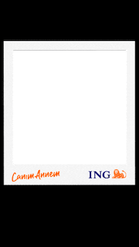 Frame Fotograf Sticker by ING Turkiye
