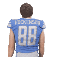 Turn Around Sticker by NFL