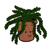 Bbb Planta Sticker