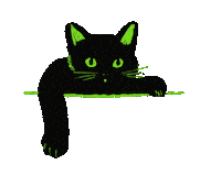 Happy International Cat Day Sticker by Nomehas Visuals ™