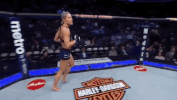 ufc 229 sport GIF by UFC