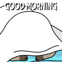 Good Morning GIF by Ordinary Frends