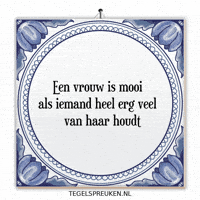 Humor Nl GIF by Tegelspreuken.nl