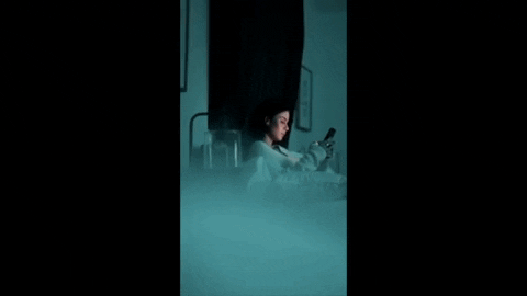 LivHema giphyupload smartphone stalker lena GIF