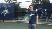 vwu_marlins marlins vwu wethebeach virginiawesleyan GIF